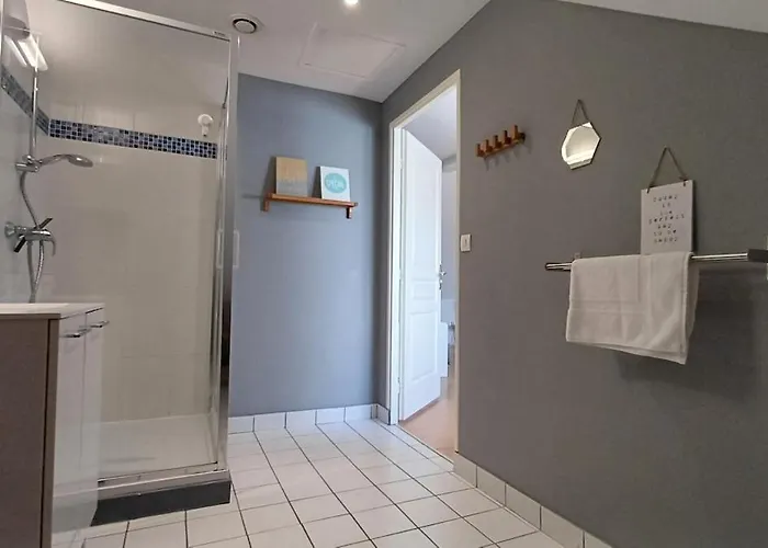 Maison Albion, Plein Centre, Espace Et Confort Hébergement de vacances *