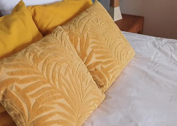 Hébergement de vacances Maison Albion, Plein Centre, Espace Et Confort