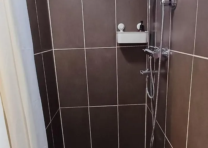 Maison Albion, Plein Centre, Espace Et Confort Hébergement de vacances *