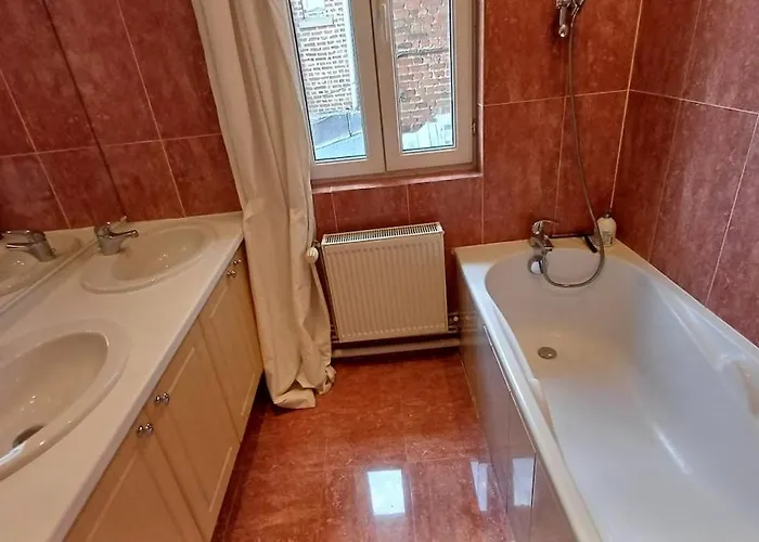 Maison Albion, Plein Centre, Espace Et Confort Hébergement de vacances *