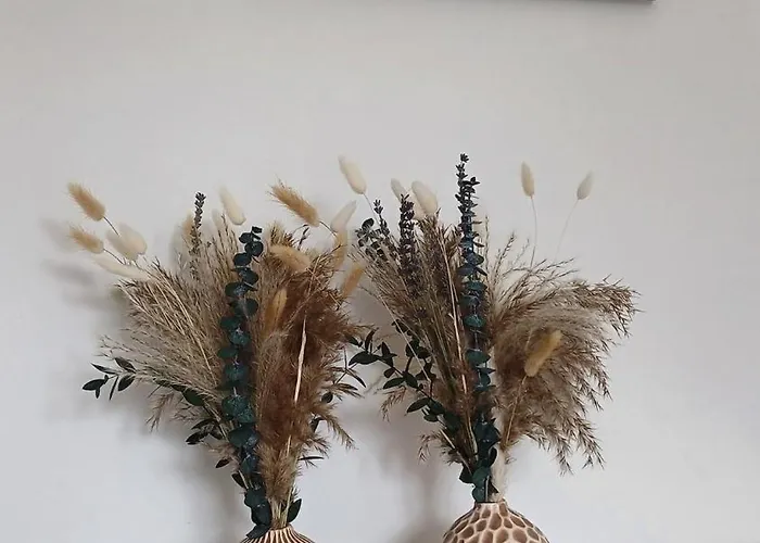 Hébergement de vacances Maison Albion, Plein Centre, Espace Et Confort Le Touquet-Paris-Plage