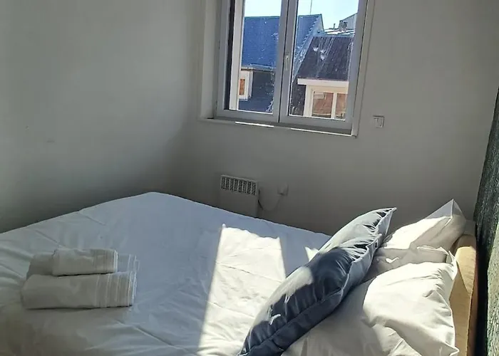 Maison Albion, Plein Centre, Espace Et Confort Hébergement de vacances Le Touquet-Paris-Plage