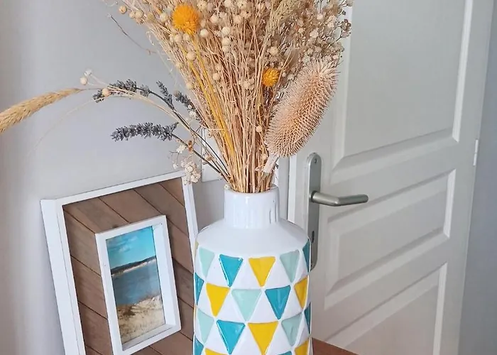 Hébergement de vacances Maison Albion, Plein Centre, Espace Et Confort *