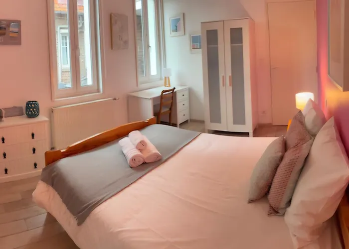 Maison Albion, Plein Centre, Espace Et Confort