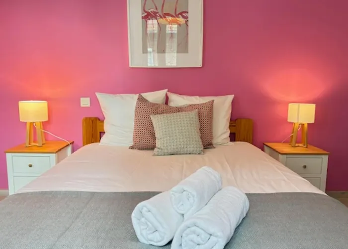 Maison Albion, Plein Centre, Espace Et Confort Hébergement de vacances