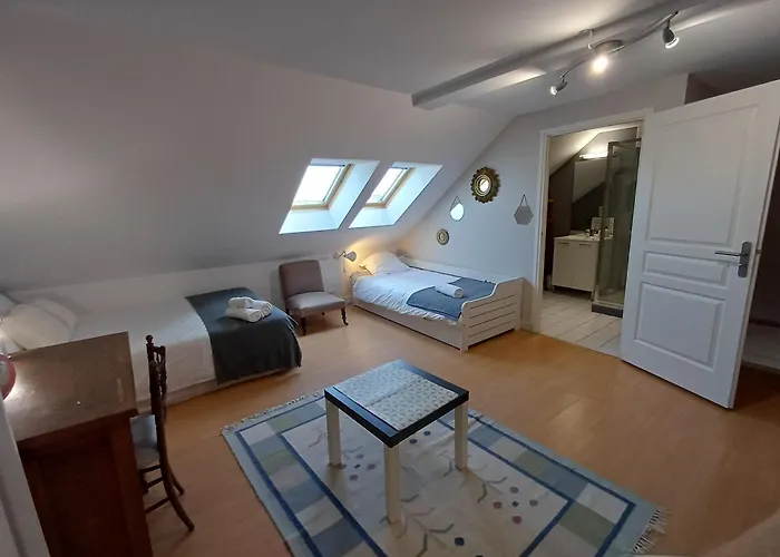 Maison Albion, Plein Centre, Espace Et Confort * Le Touquet-Paris-Plage