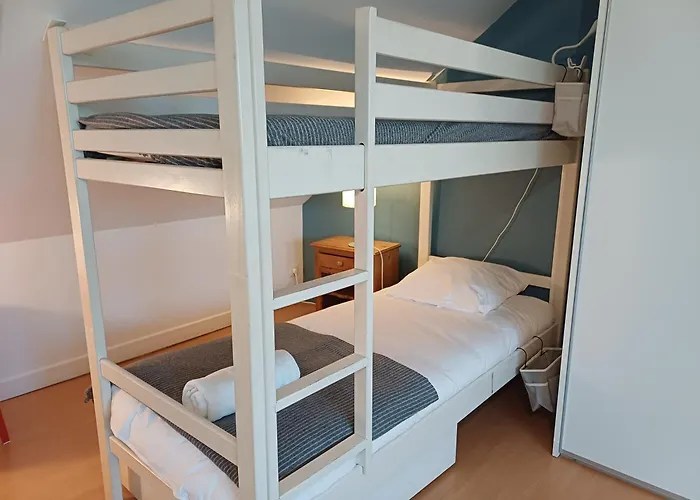 Maison Albion, Plein Centre, Espace Et Confort Hébergement de vacances Le Touquet-Paris-Plage