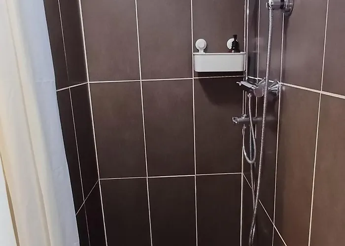 Hébergement de vacances Maison Albion, Plein Centre, Espace Et Confort *