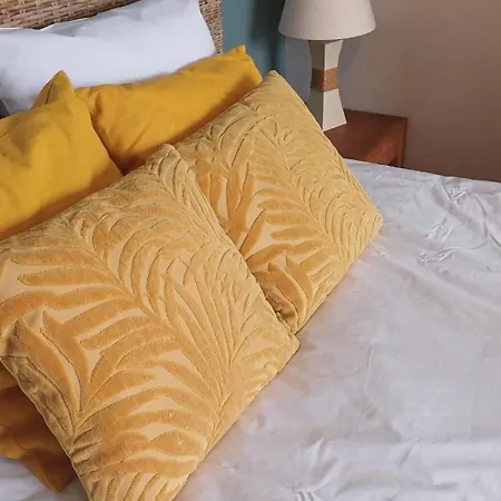 Vakantiehuis Maison Albion, Plein Centre, Espace Et Confort