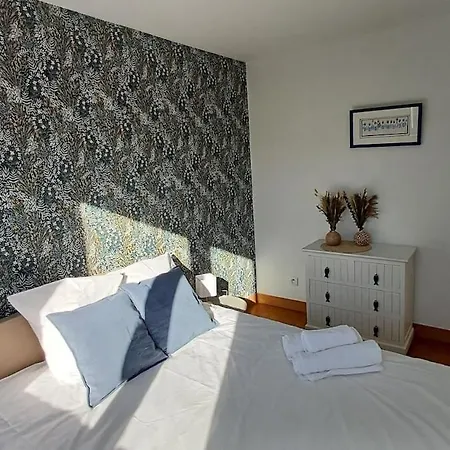 Vakantiehuis Maison Albion, Plein Centre, Espace Et Confort *