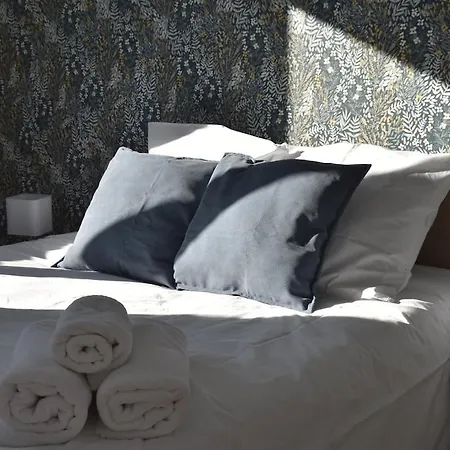 Maison Albion, Plein Centre, Espace Et Confort