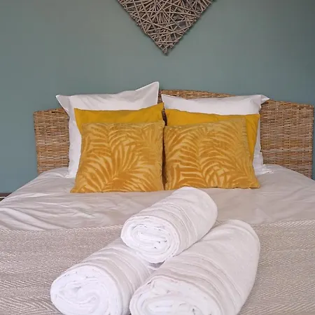 Maison Albion, Plein Centre, Espace Et Confort Vakantiehuis