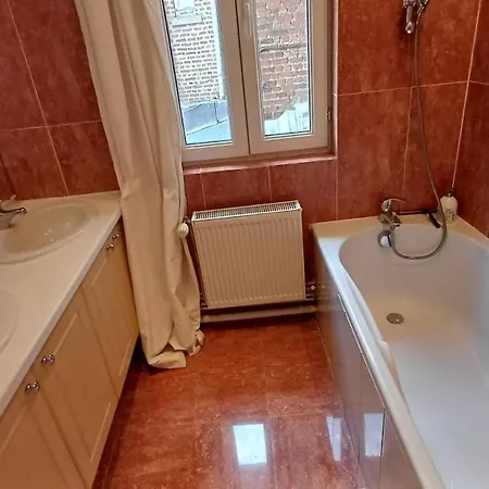 Maison Albion, Plein Centre, Espace Et Confort Vakantiehuis *