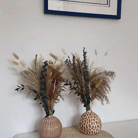 Vakantiehuis Maison Albion, Plein Centre, Espace Et Confort Le Touquet