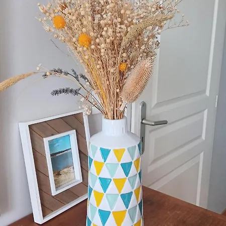 Vakantiehuis Maison Albion, Plein Centre, Espace Et Confort *